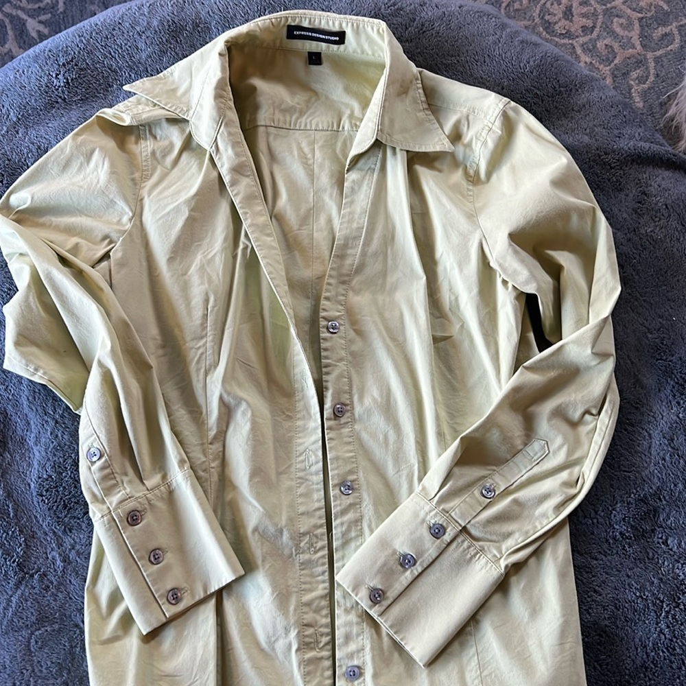 Express Women’s Dress Shirt - Large - Green